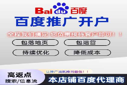 百度竞价排名案例解析：如何快速提升网站流量